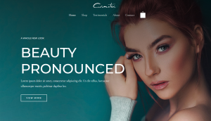 Warm Tone Family Portraits